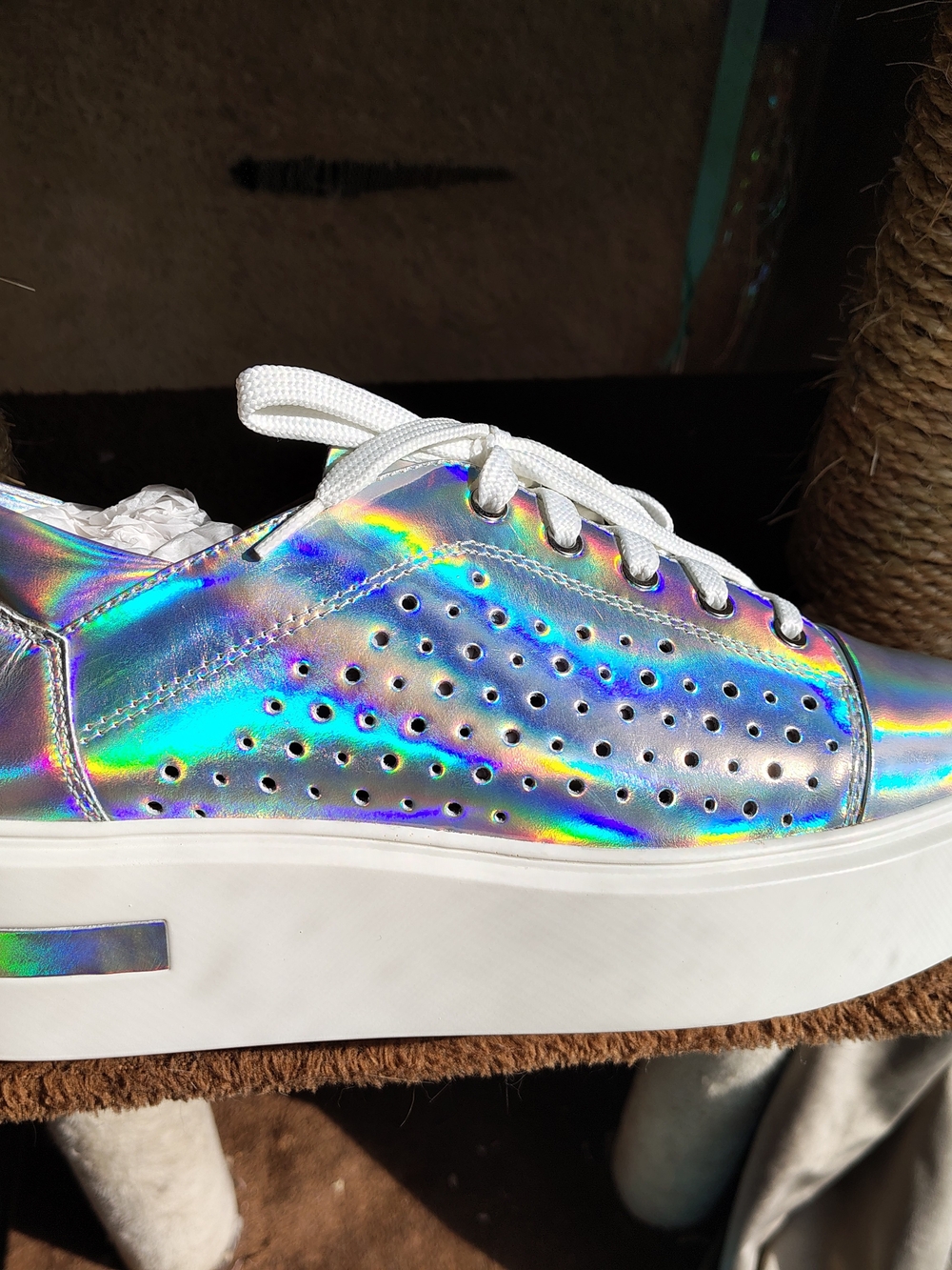 New Linea Paolo Kendra Womens Iridescent Platform Lace-Up Sneaker